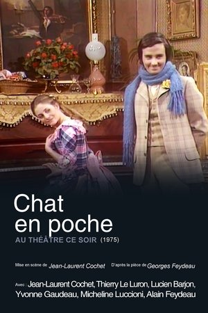 Póster de la película Chat en poche