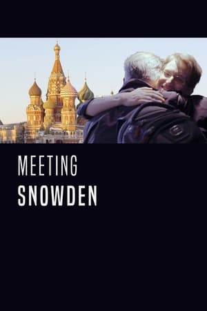 Póster de la película Meeting Snowden