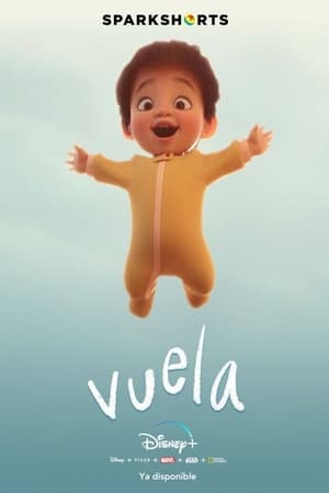 Póster de la película Vuela