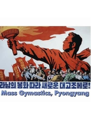 Póster de la película Mass Gymnastics, 60th Birthday of Kim Jong Il