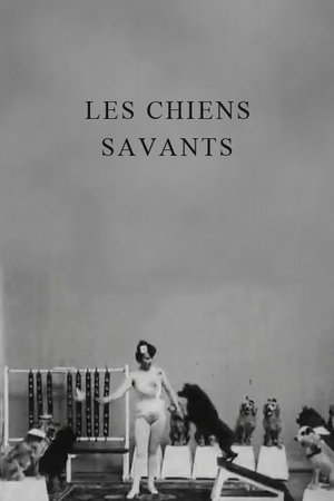 Póster de la película Miss Dundee et ses chiens savants