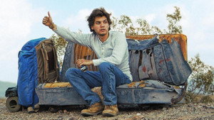 Into the Wild