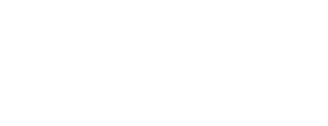 De Ladrón a Policía