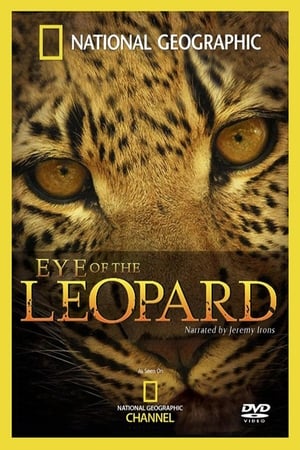 Póster de la película El Ojo Del Leopardo