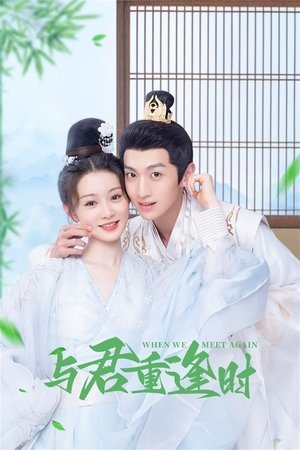 watch when we meet again tv show poster