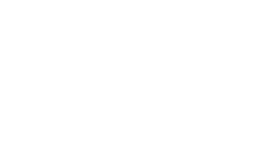 The Wasp