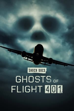 Póster de la película Los fantasmas del vuelo 401
