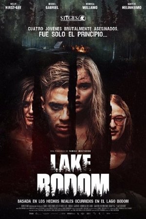 Póster de la película Lake Bodom