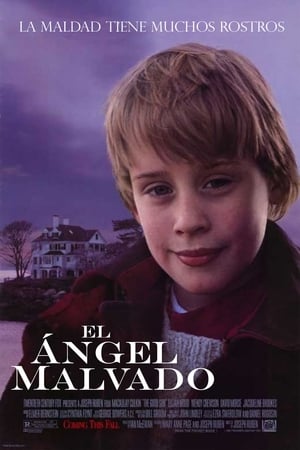 Póster de la película El buen hijo