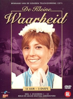 watch de kleine waarheid tv show free online poster