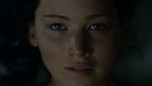 The Hunger Games: Catching Fire