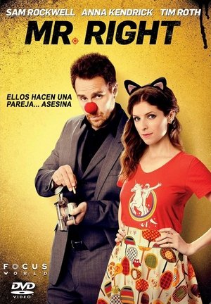 Póster de la película Mr. Right