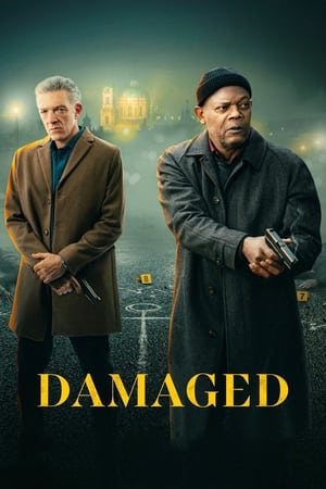 Póster de la película Damaged