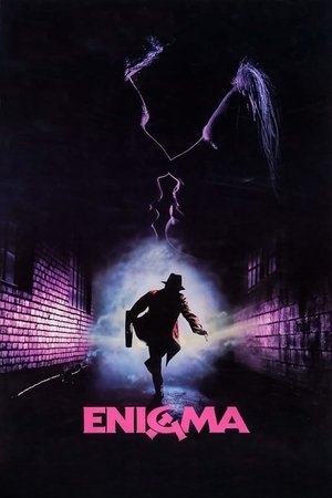 Póster de la película Enigma