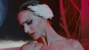 Cisne negro