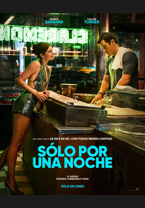 Póster de la película Una noche al año