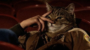 Taxi Driver