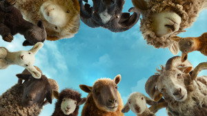 The Sheep Detectives