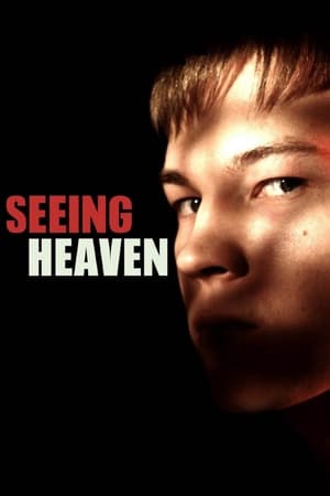 Póster de la película Seeing Heaven