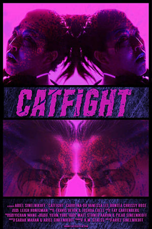 Póster de la película Catfight