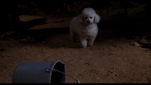 The Silence of the Lambs