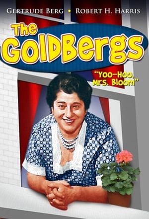 Póster de la serie The Goldbergs