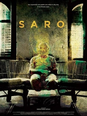 Póster de la película Saro