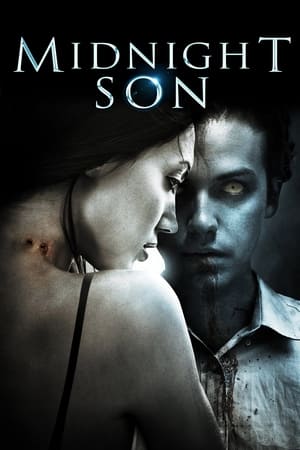 Póster de la película Midnight Son