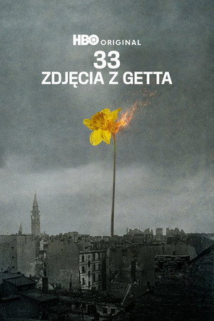 Póster de la película 33 fotografías del gueto
