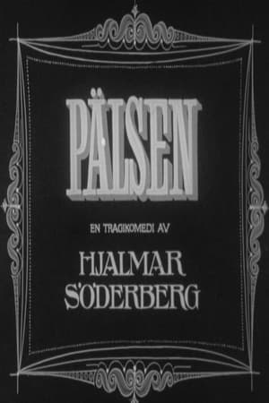 Póster de la película Pälsen