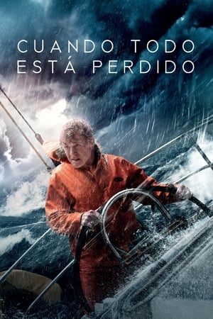 Póster de la película Cuando todo está perdido