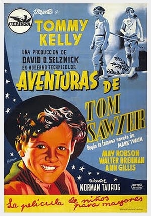 Póster de la película Las aventuras de Tom Sawyer