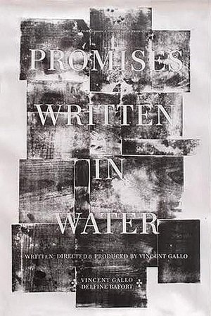 Póster de la película Promises Written in Water