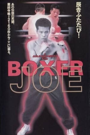 Póster de la película Boxer Joe