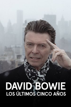 Póster de la película David Bowie: Los últimos cinco años