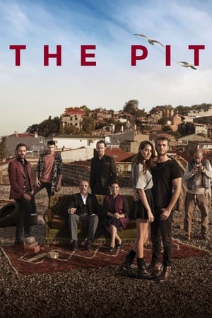 watch the pit tv show poster