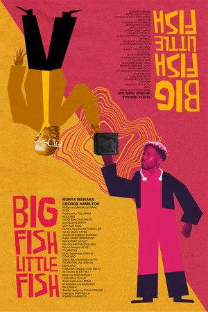 Big Fish Little Fish