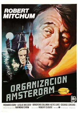Póster de la película Organización Amsterdam