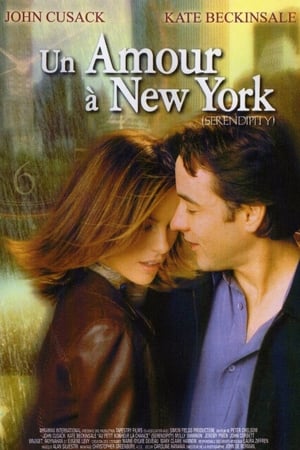 Un amour à New York Streaming VF VOSTFR