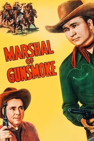 Póster de la película Marshal of Gunsmoke