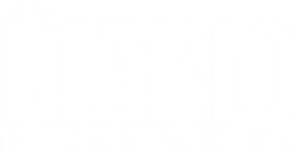 Diario de una niñera