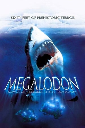 Póster de la película Megalodon