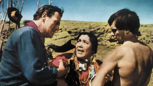 The Searchers
