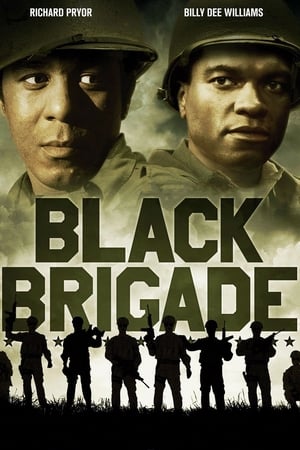 Póster de la película Brigada Negra