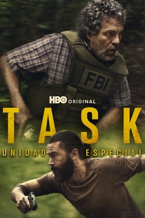 Póster de la serie Task