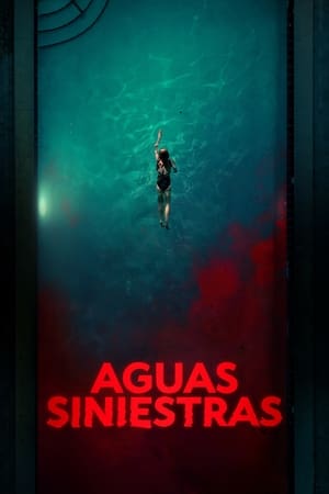 Póster de la película La piscina