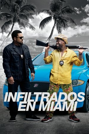 Póster de la película Infiltrados en Miami