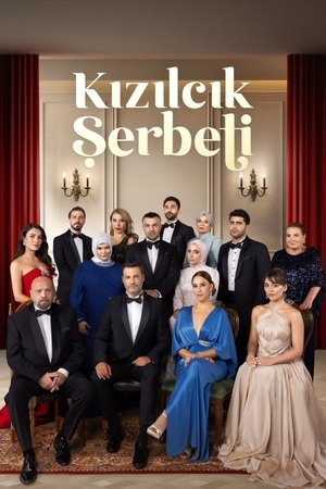 watch cranberry sorbet tv show poster
