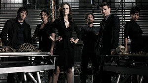 Bones