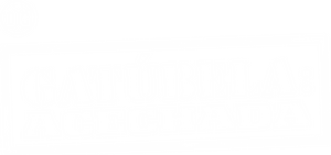 Gatúbela: Acechada